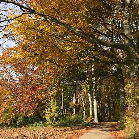 Ferienappartment Mit Homeoffice, 2 Schlafzimmer Mit Einzelbetten Lägenhet Weil am Rhein