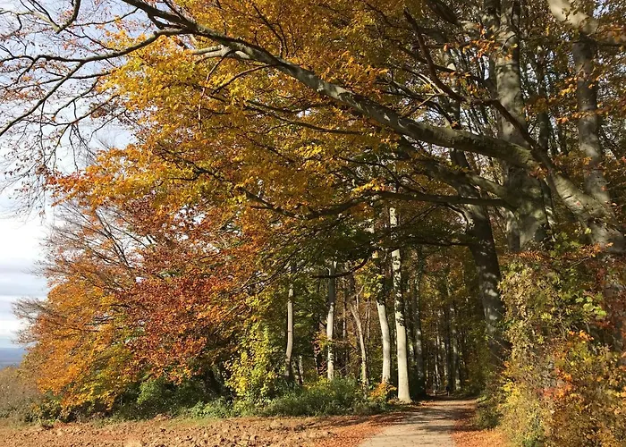 Ferienappartment Mit Homeoffice, 2 Schlafzimmer Mit Einzelbetten Apartamento Weil am Rhein