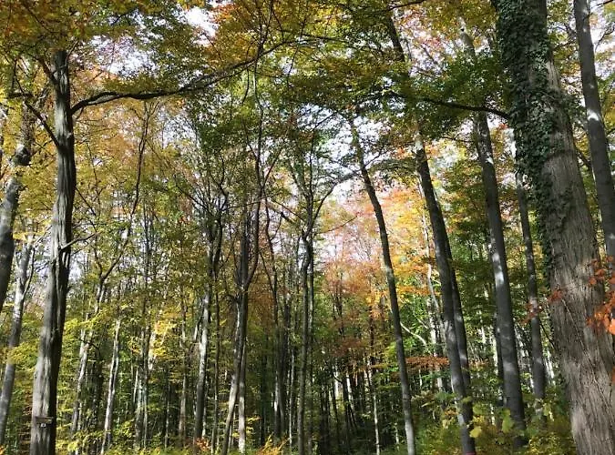 Ferienappartment Mit Homeoffice, 2 Schlafzimmer Mit Einzelbetten Apartamento
